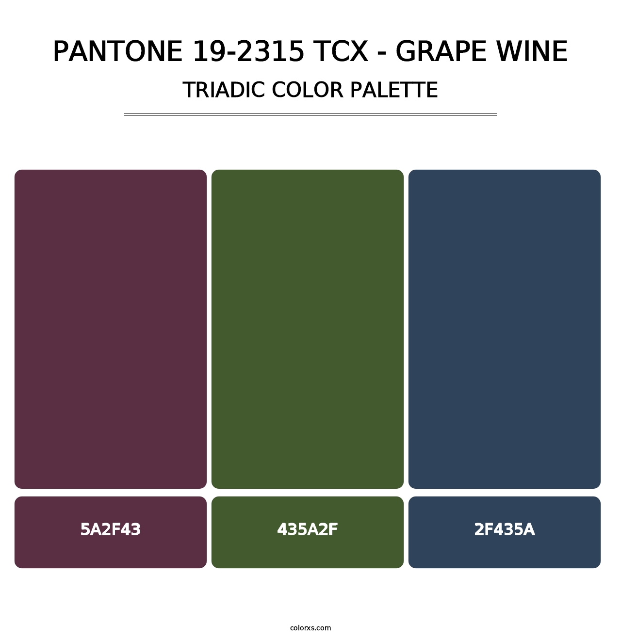 PANTONE 19-2315 TCX - Grape Wine - Triadic Color Palette