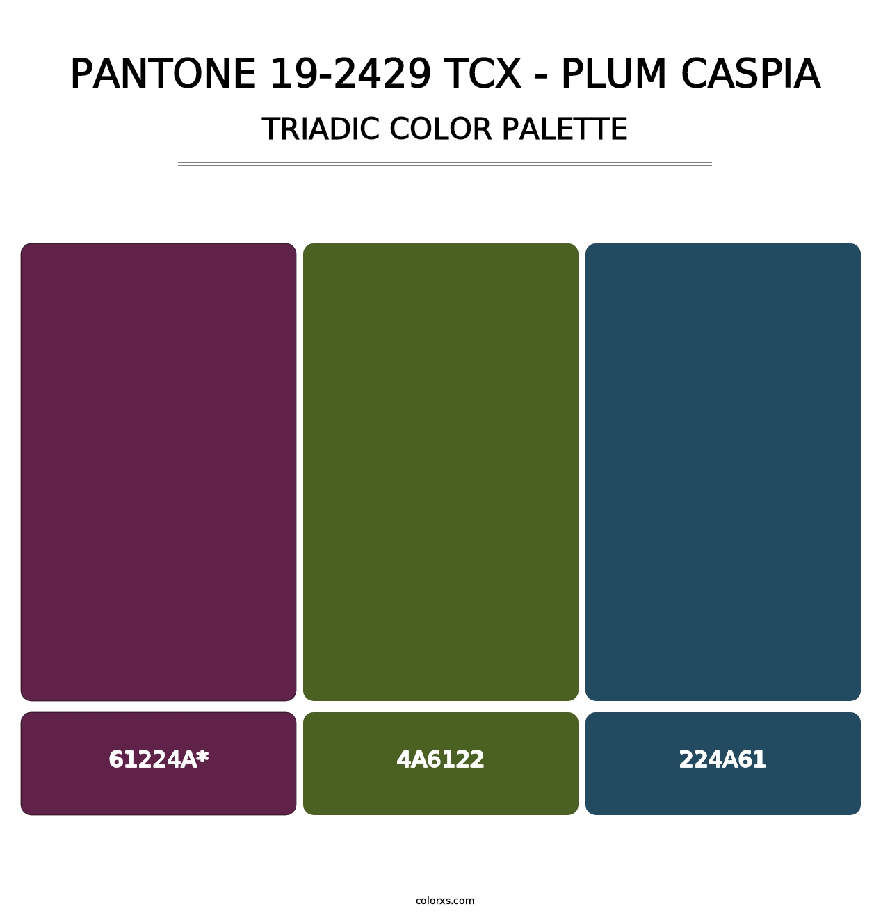 PANTONE 19-2429 TCX - Plum Caspia - Triadic Color Palette