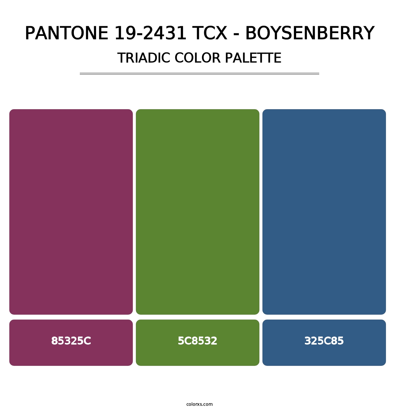 PANTONE 19-2431 TCX - Boysenberry - Triadic Color Palette