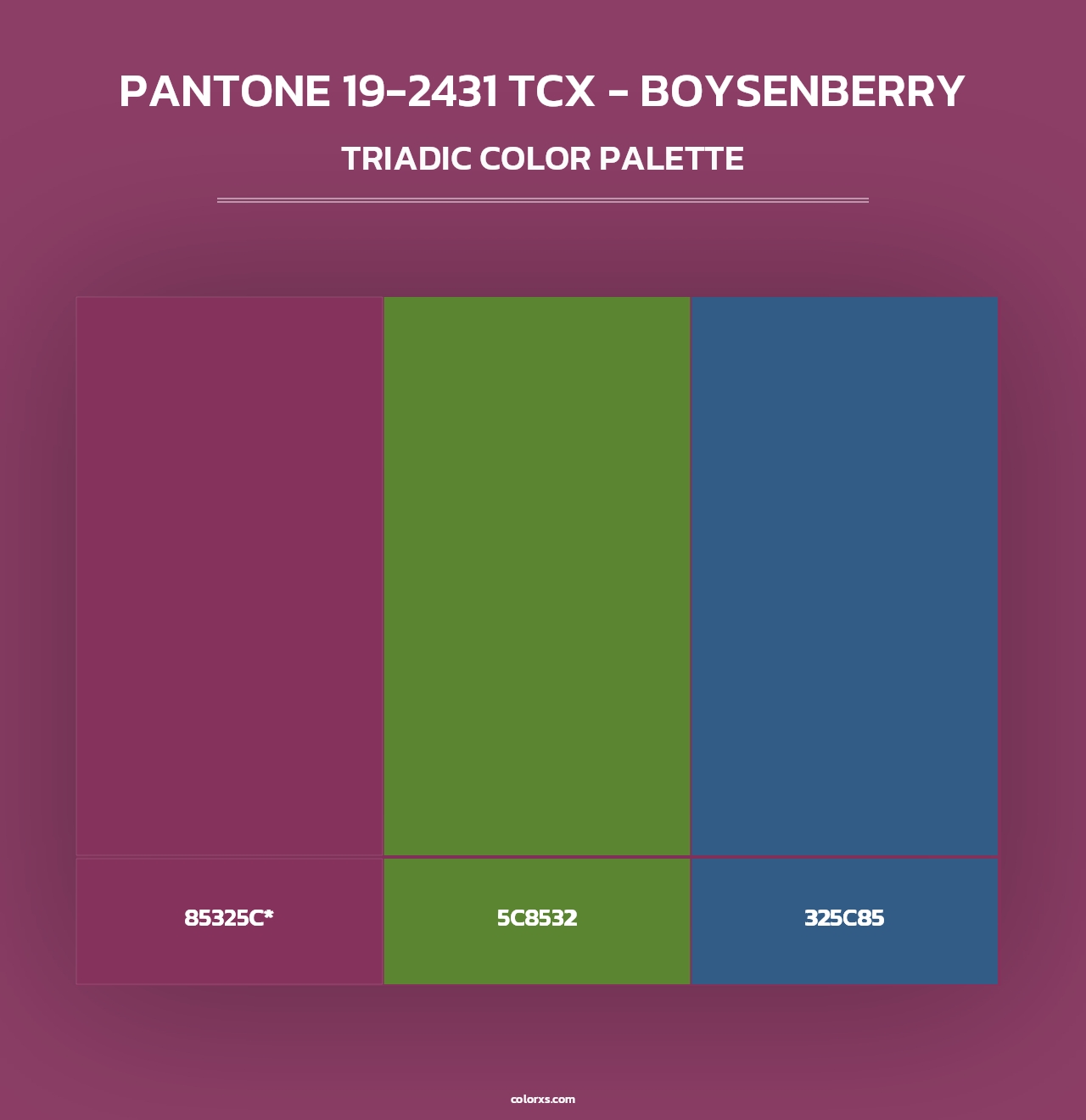 PANTONE 19-2431 TCX - Boysenberry - Triadic Color Palette