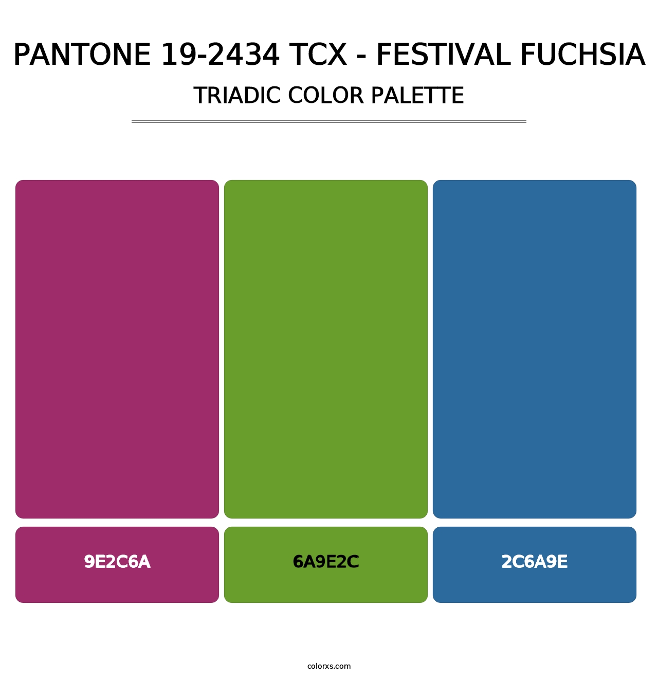 PANTONE 19-2434 TCX - Festival Fuchsia - Triadic Color Palette