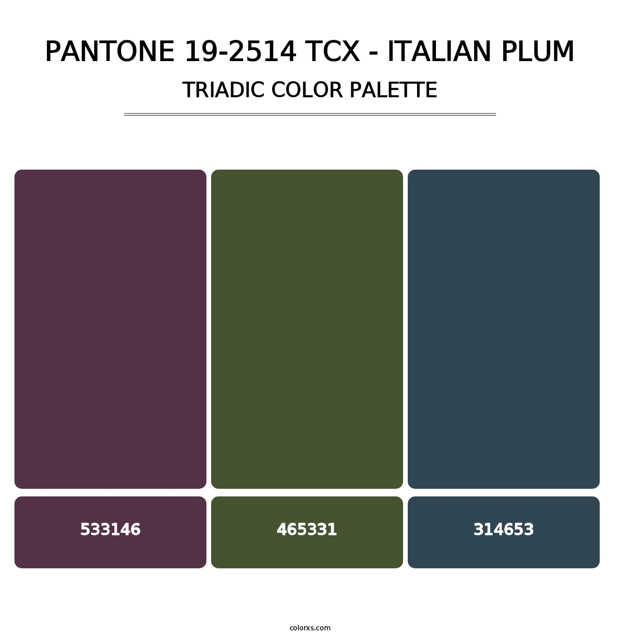 PANTONE 19-2514 TCX - Italian Plum - Triadic Color Palette