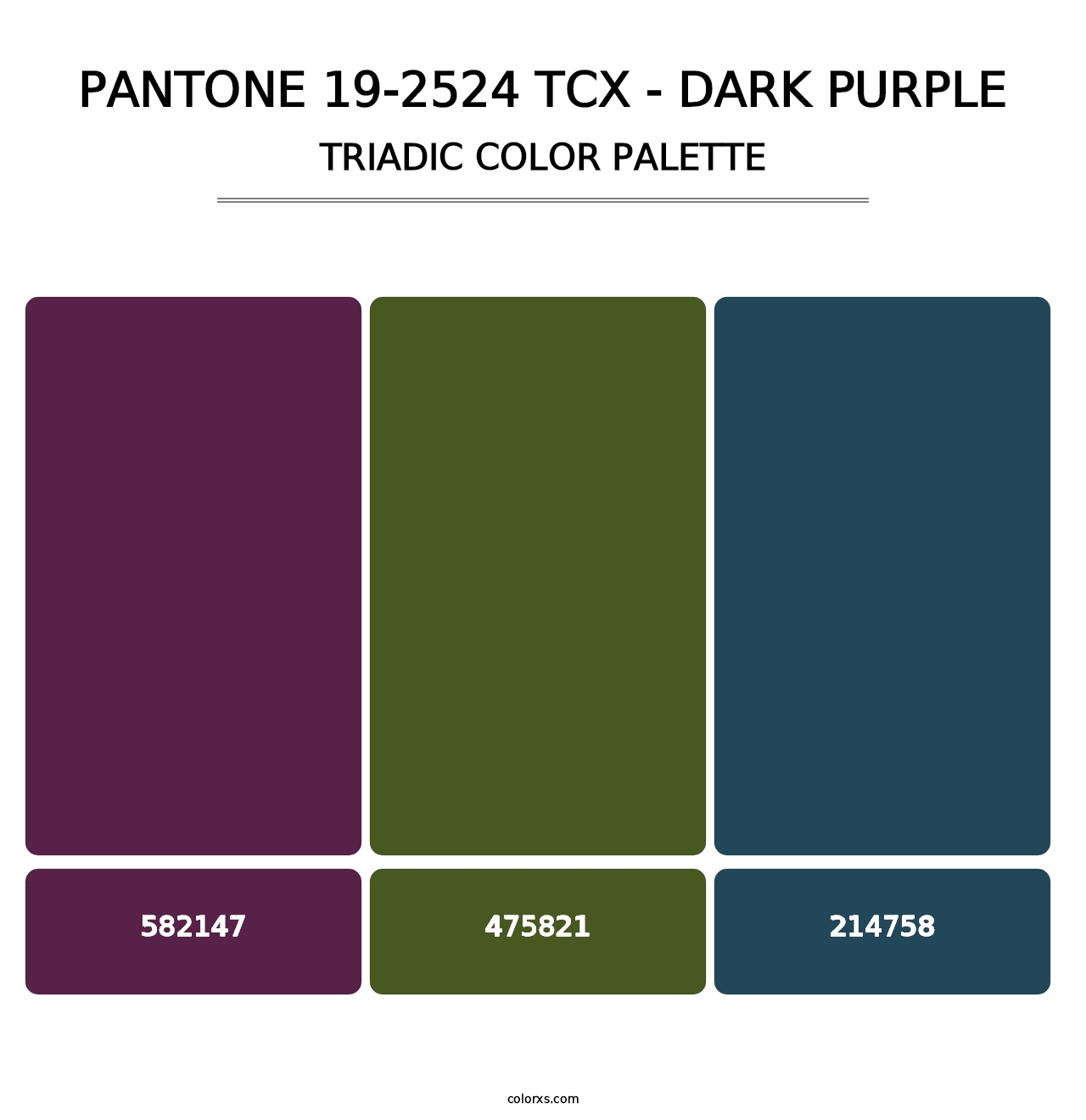 PANTONE 19-2524 TCX - Dark Purple - Triadic Color Palette