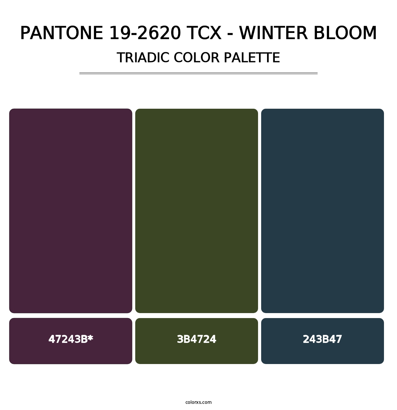 PANTONE 19-2620 TCX - Winter Bloom - Triadic Color Palette