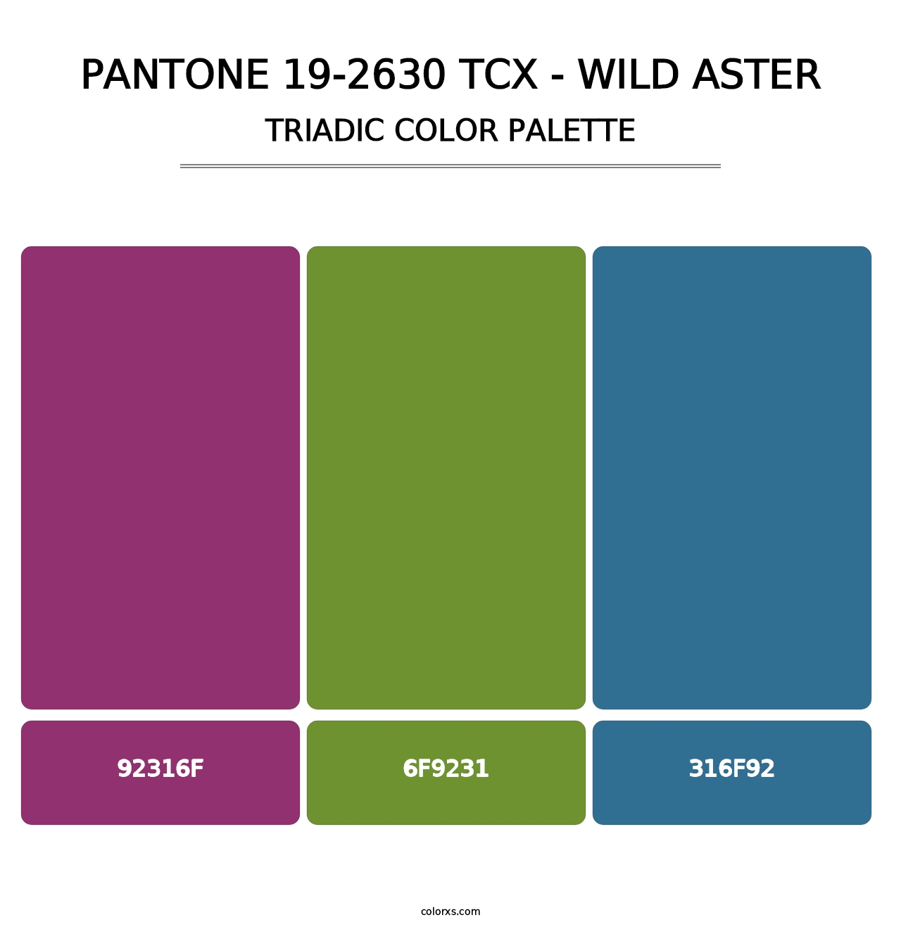 PANTONE 19-2630 TCX - Wild Aster - Triadic Color Palette