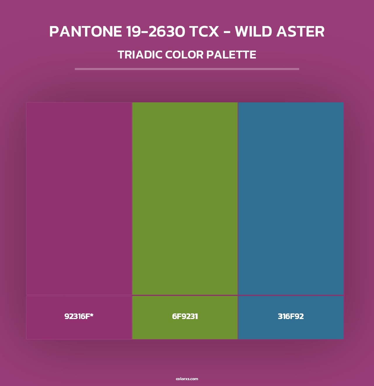 PANTONE 19-2630 TCX - Wild Aster - Triadic Color Palette