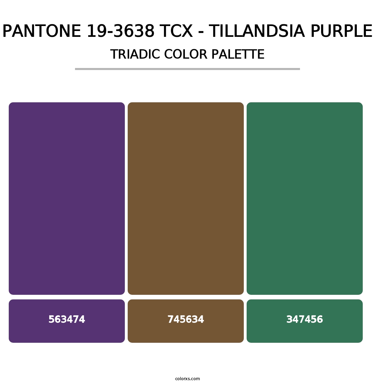 PANTONE 19-3638 TCX - Tillandsia Purple - Triadic Color Palette