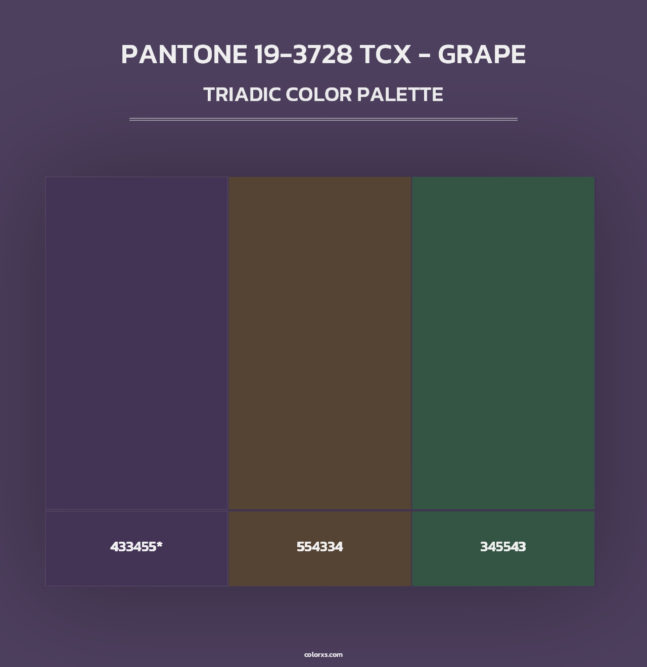 PANTONE 19-3728 TCX - Grape - Triadic Color Palette