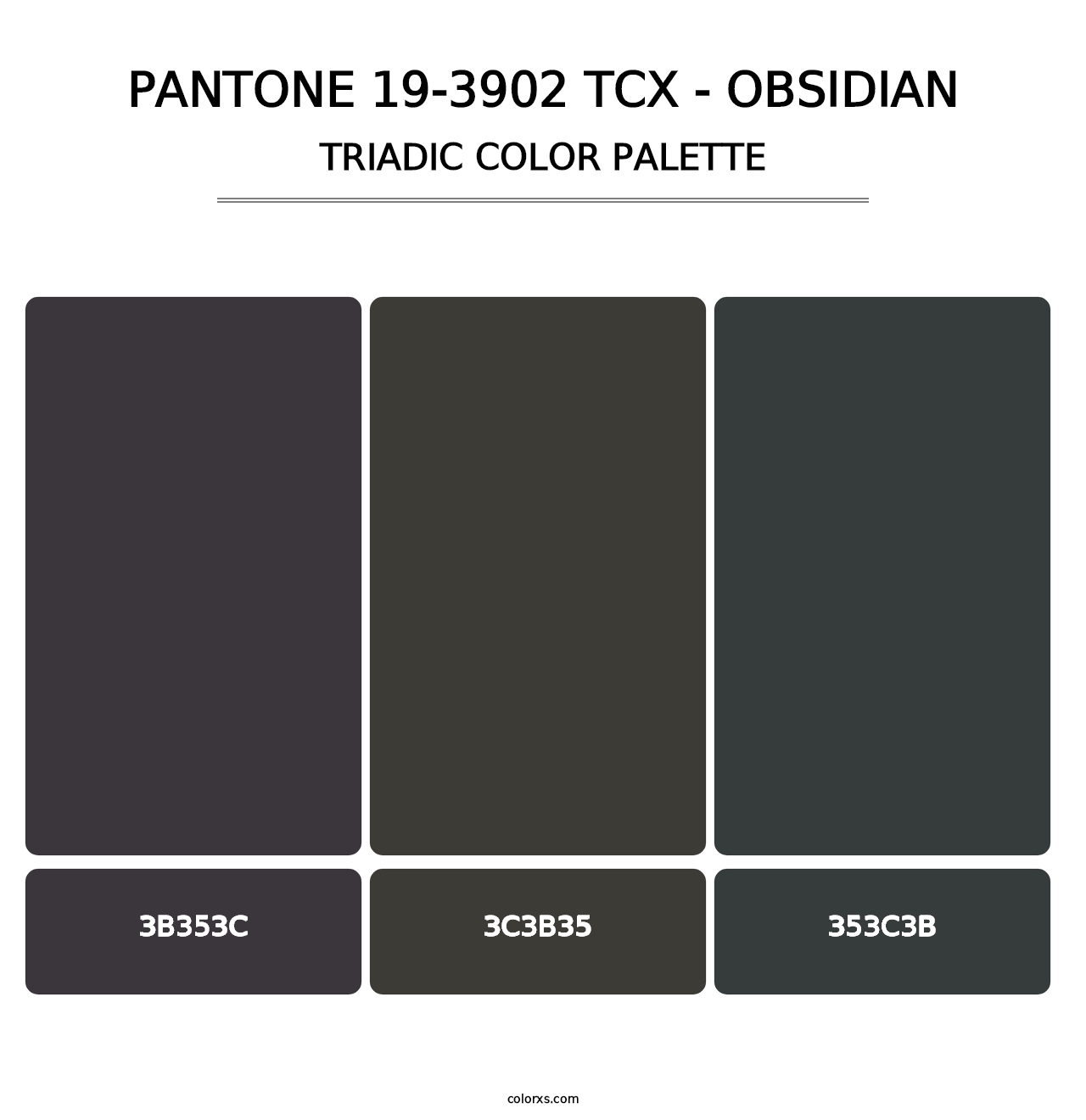 PANTONE 19-3902 TCX - Obsidian - Triadic Color Palette