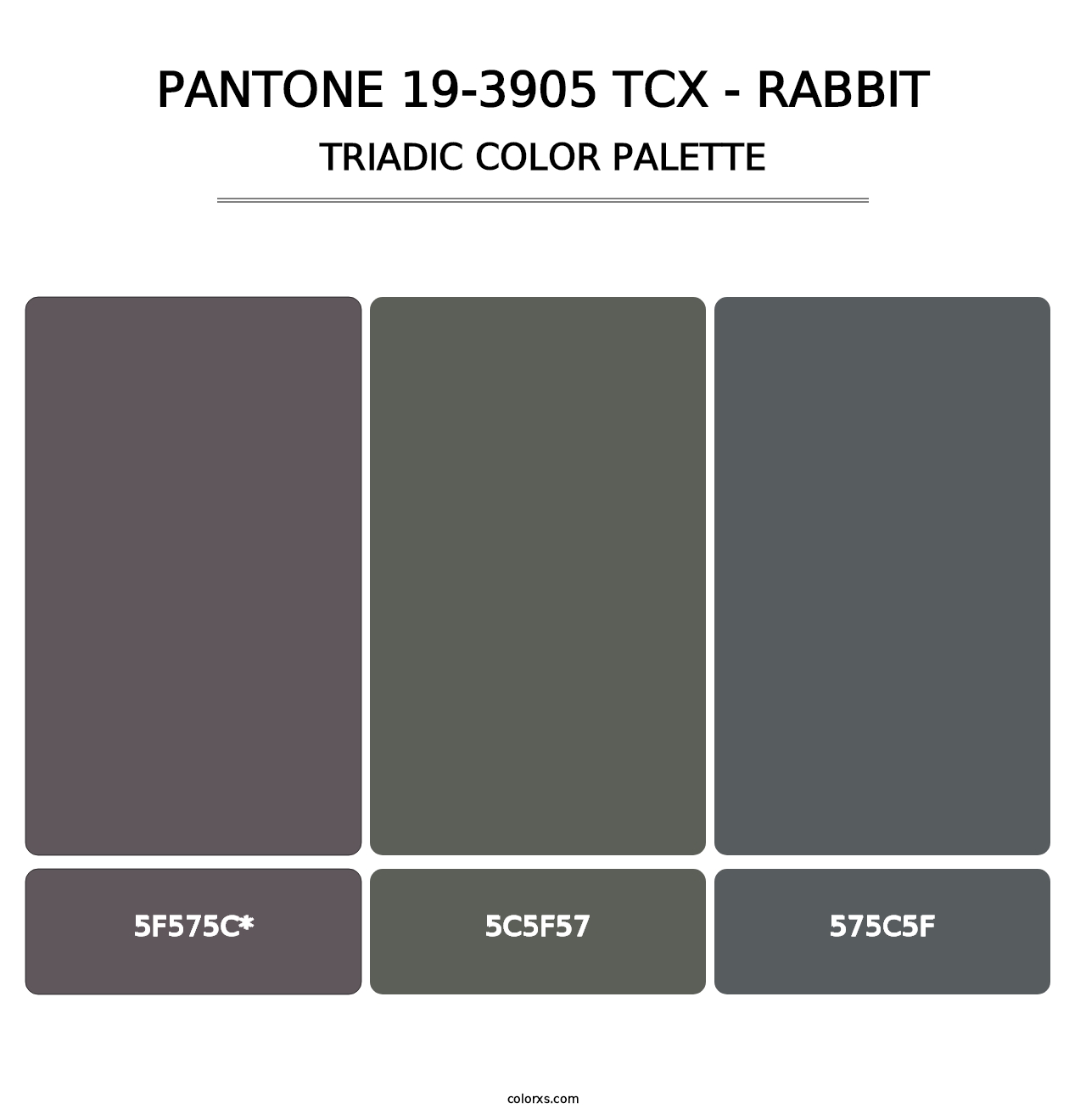 PANTONE 19-3905 TCX - Rabbit - Triadic Color Palette