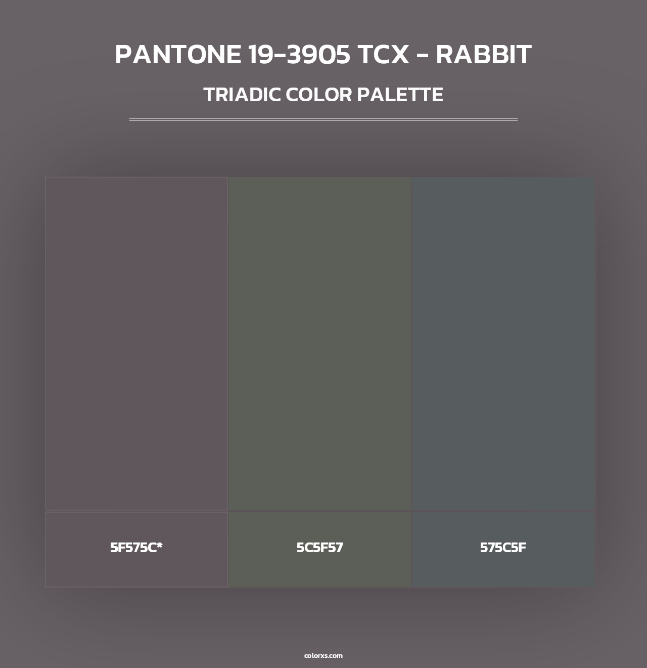 PANTONE 19-3905 TCX - Rabbit - Triadic Color Palette