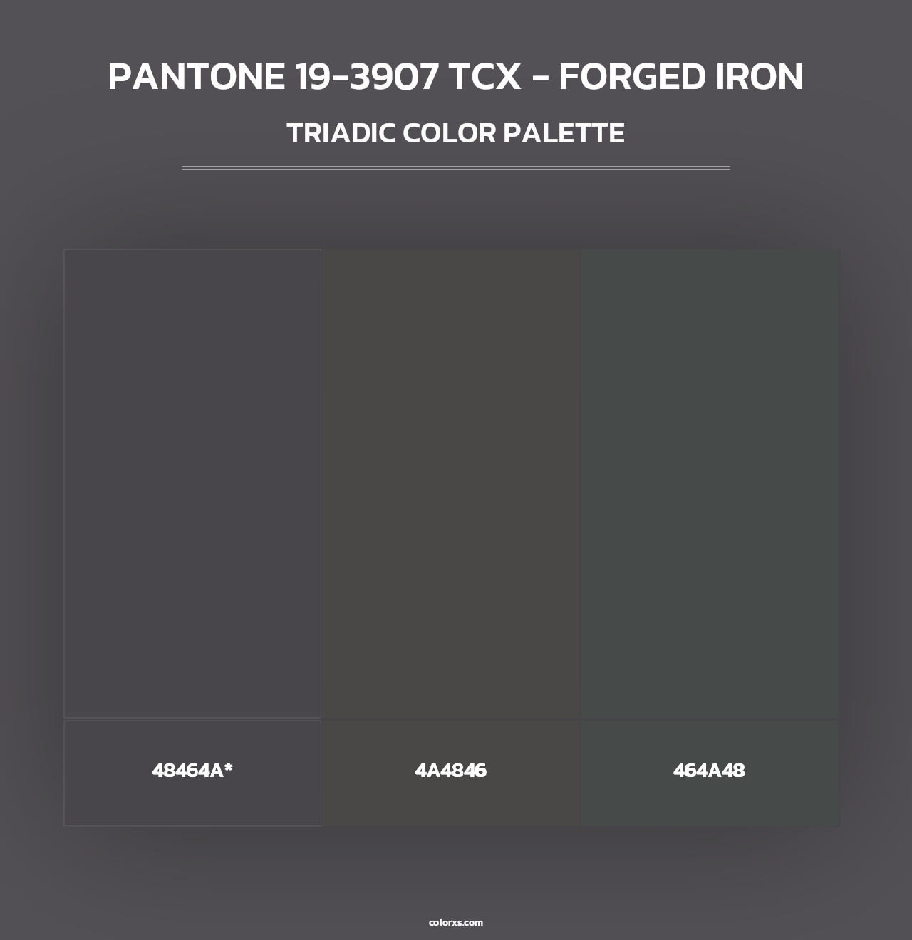 PANTONE 19-3907 TCX - Forged Iron - Triadic Color Palette