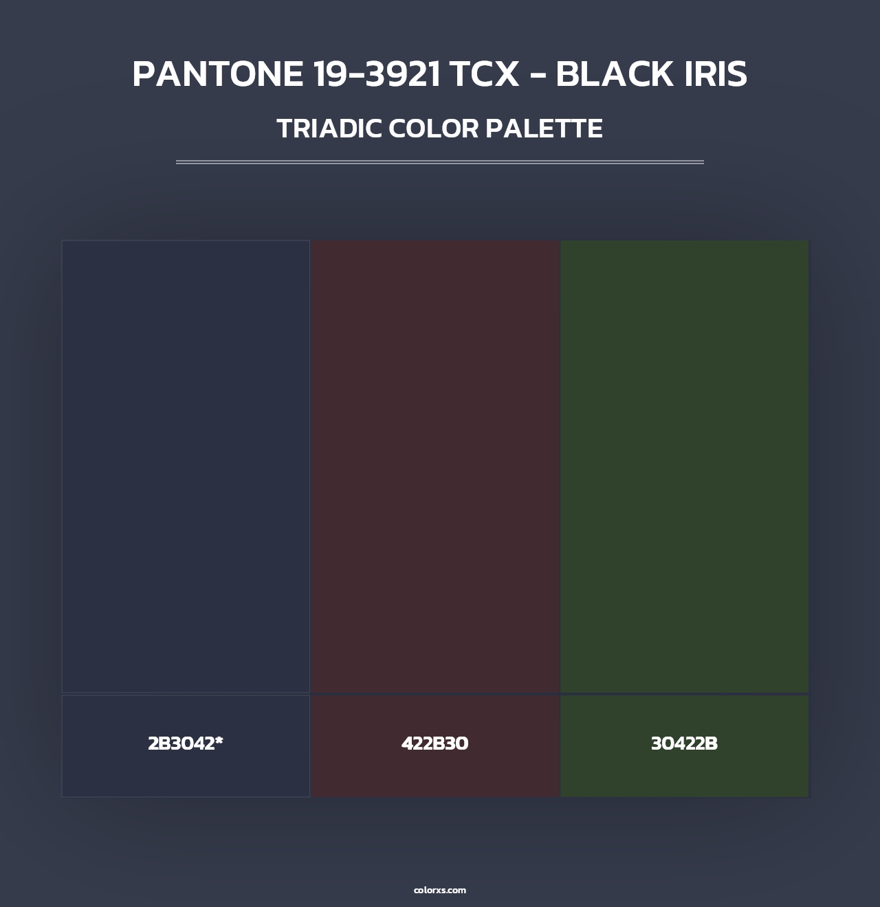 PANTONE 19-3921 TCX - Black Iris - Triadic Color Palette