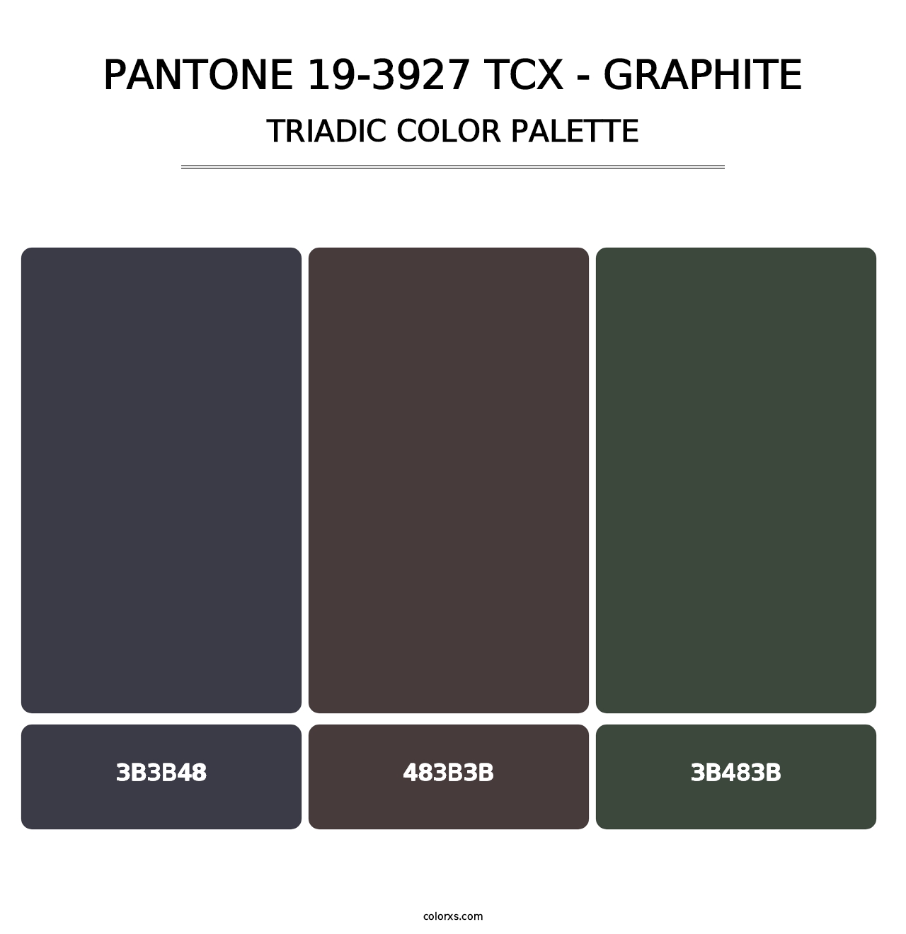 PANTONE 19-3927 TCX - Graphite - Triadic Color Palette