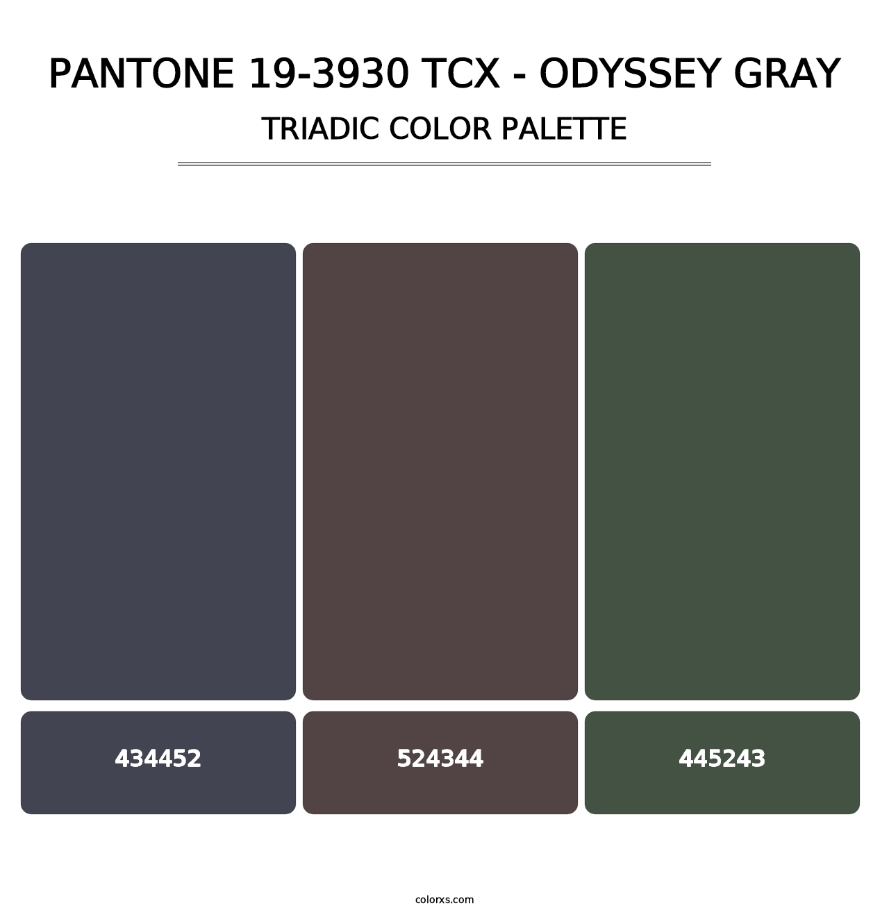 PANTONE 19-3930 TCX - Odyssey Gray - Triadic Color Palette