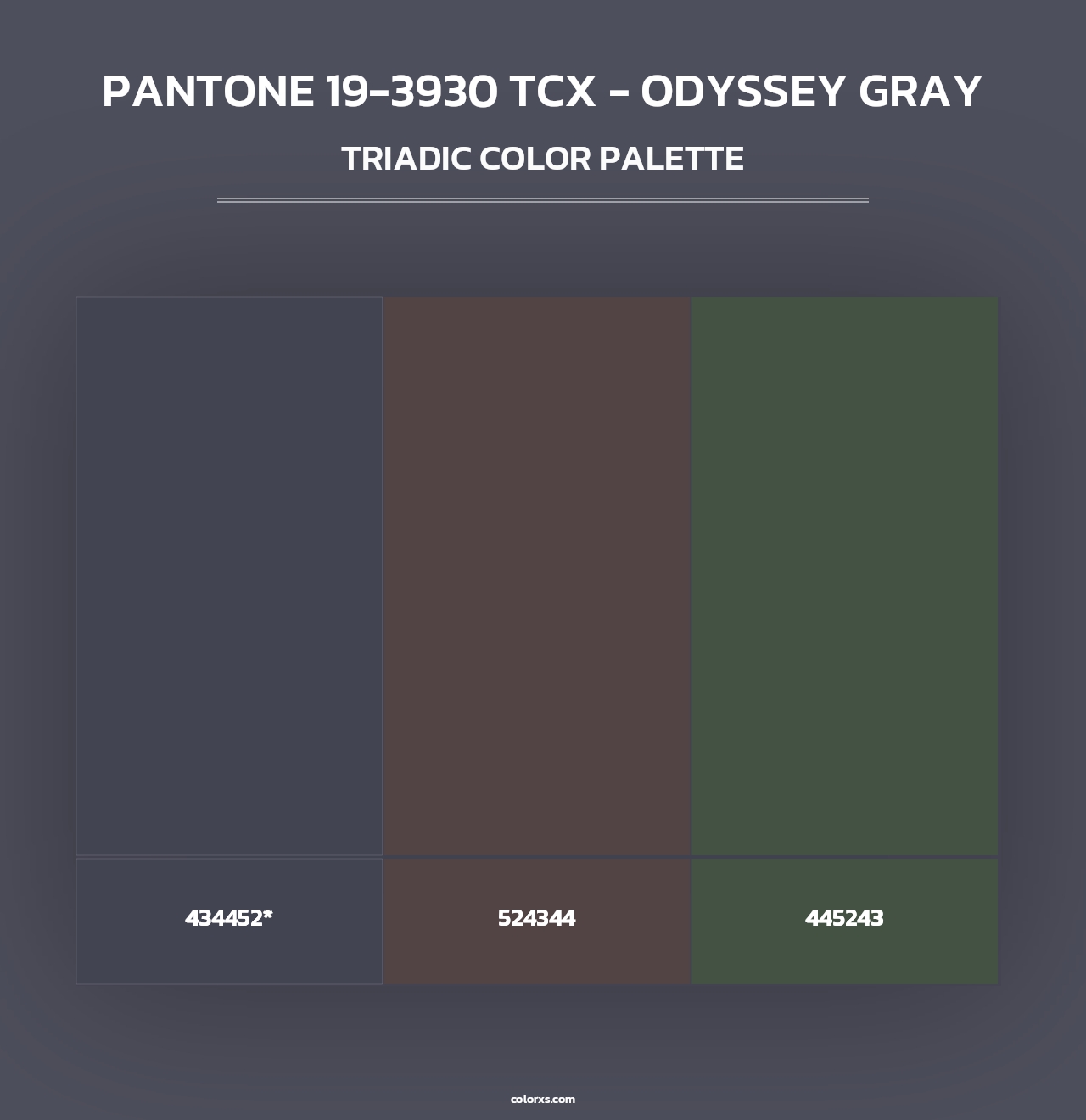 PANTONE 19-3930 TCX - Odyssey Gray - Triadic Color Palette
