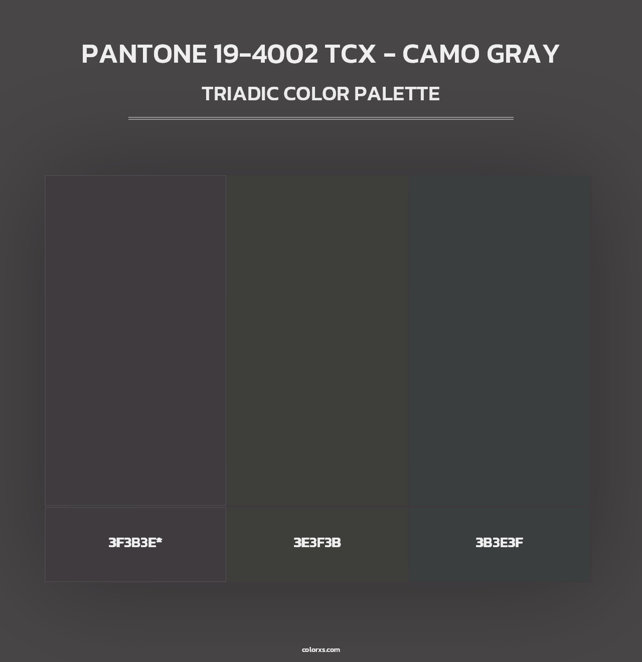 PANTONE 19-4002 TCX - Camo Gray - Triadic Color Palette
