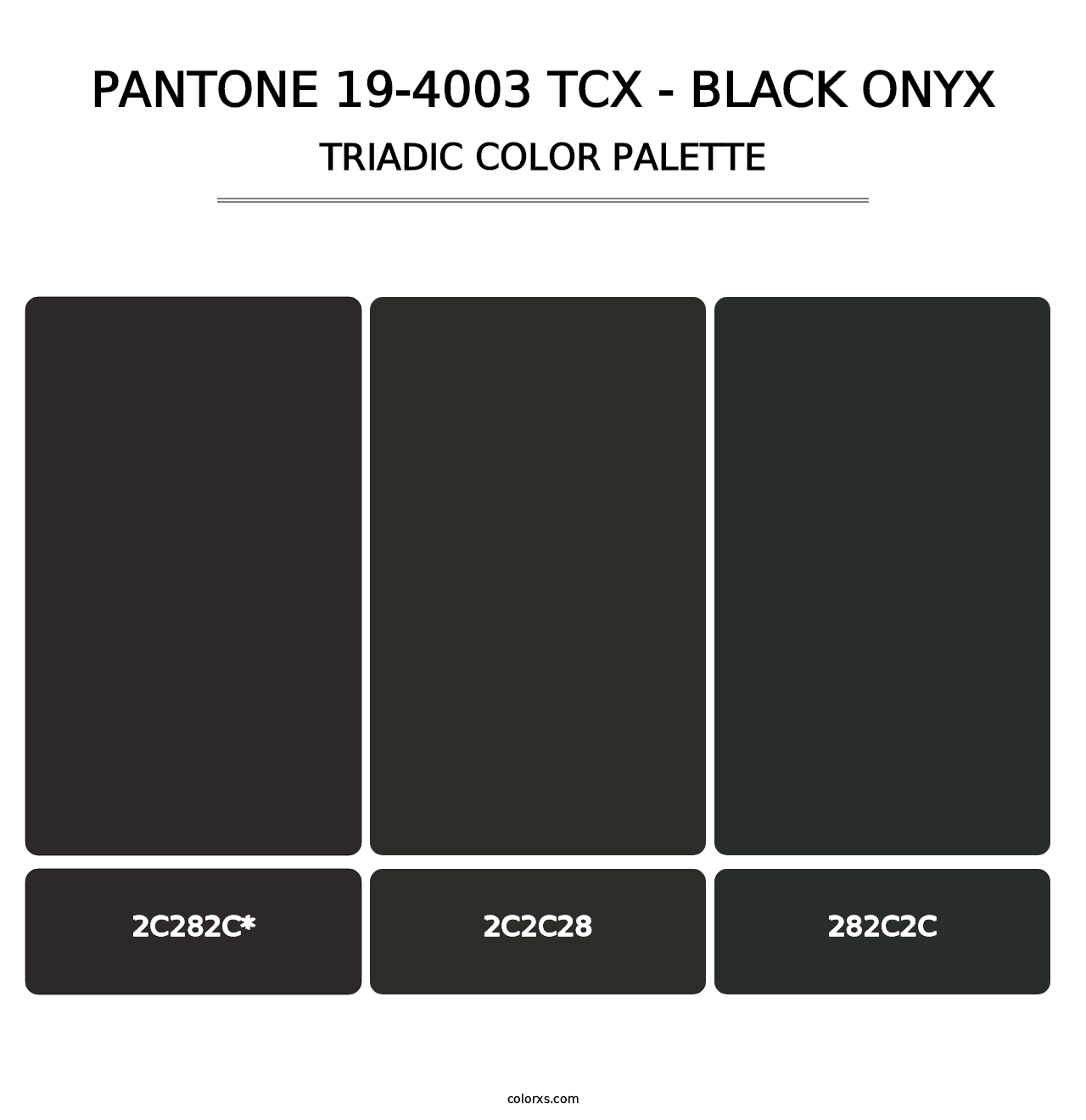 PANTONE 19-4003 TCX - Black Onyx - Triadic Color Palette