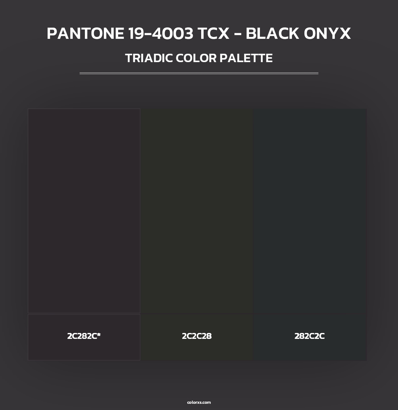 PANTONE 19-4003 TCX - Black Onyx - Triadic Color Palette
