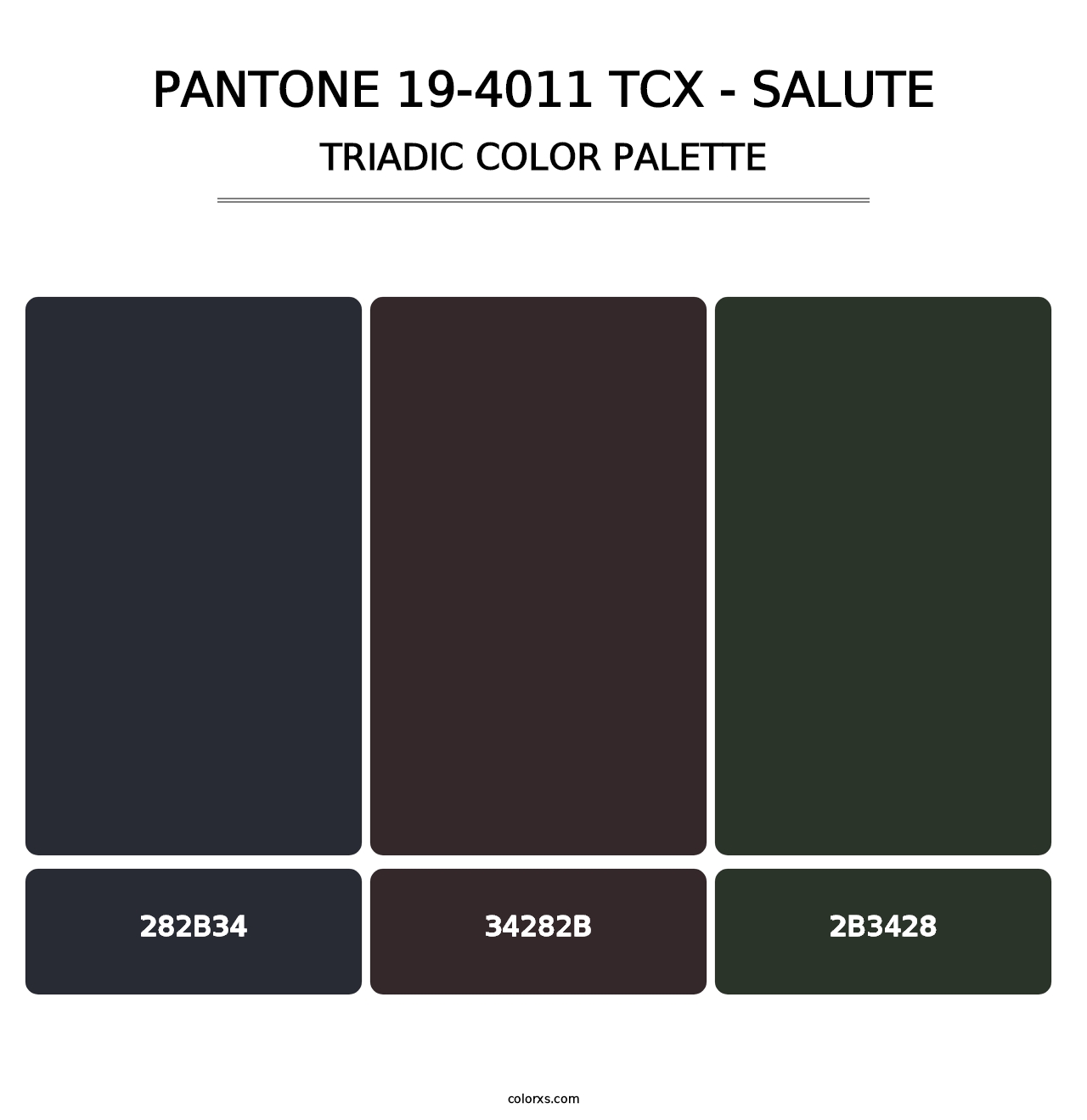 PANTONE 19-4011 TCX - Salute - Triadic Color Palette