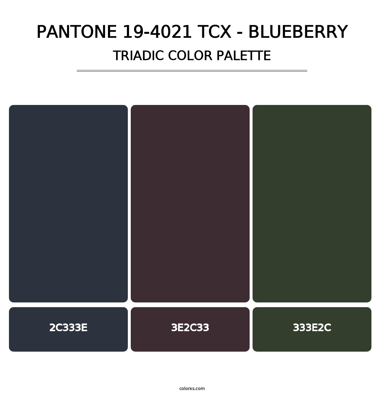 PANTONE 19-4021 TCX - Blueberry - Triadic Color Palette