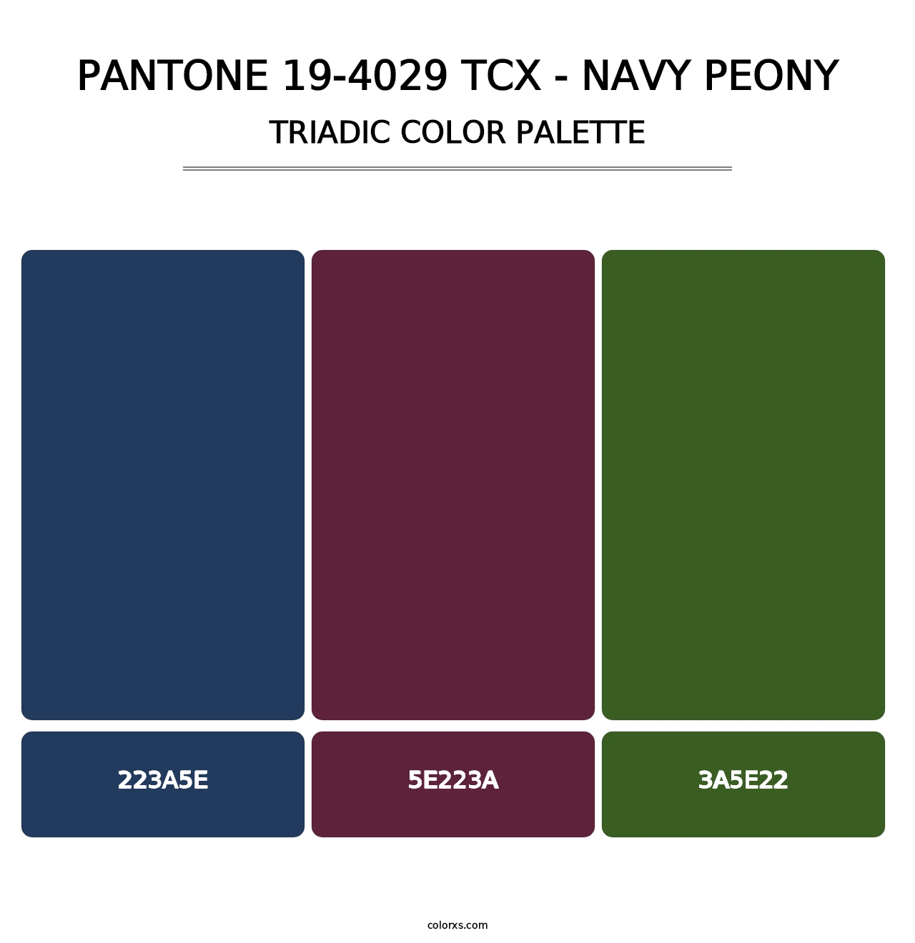 PANTONE 19-4029 TCX - Navy Peony - Triadic Color Palette