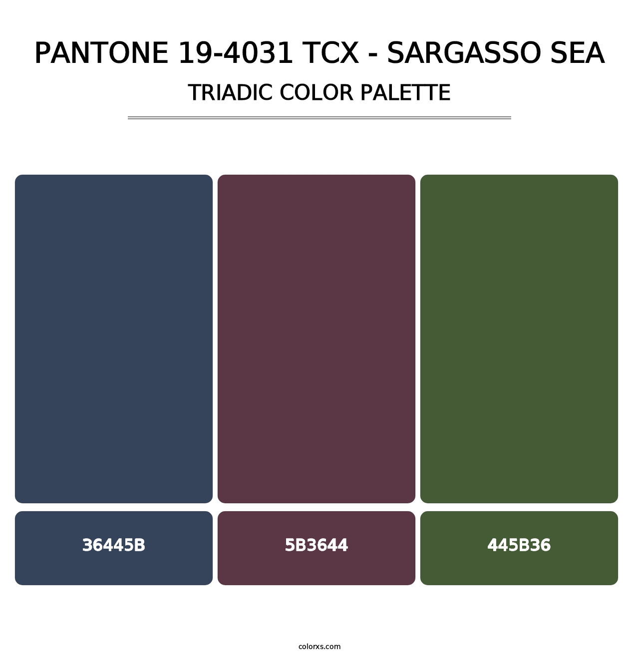 PANTONE 19-4031 TCX - Sargasso Sea - Triadic Color Palette