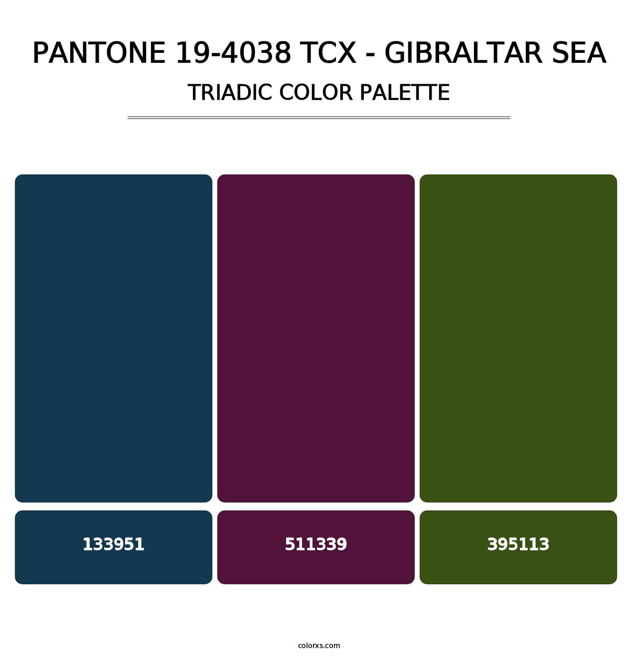 PANTONE 19-4038 TCX - Gibraltar Sea - Triadic Color Palette