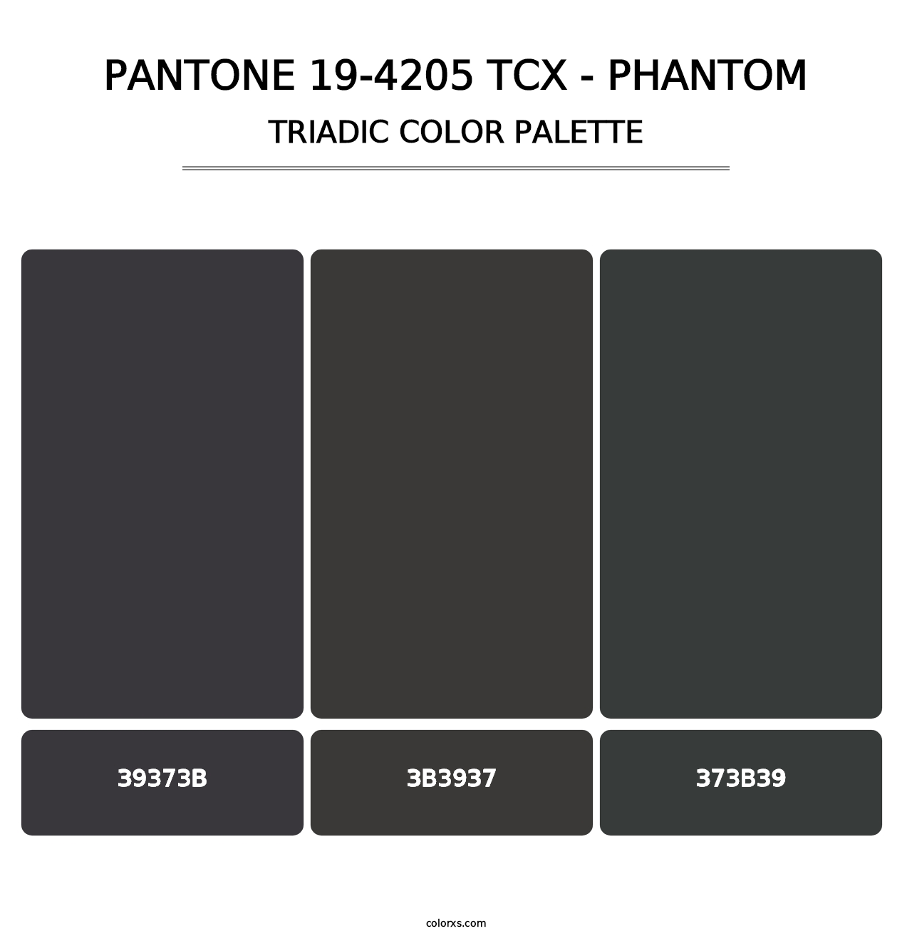 PANTONE 19-4205 TCX - Phantom - Triadic Color Palette