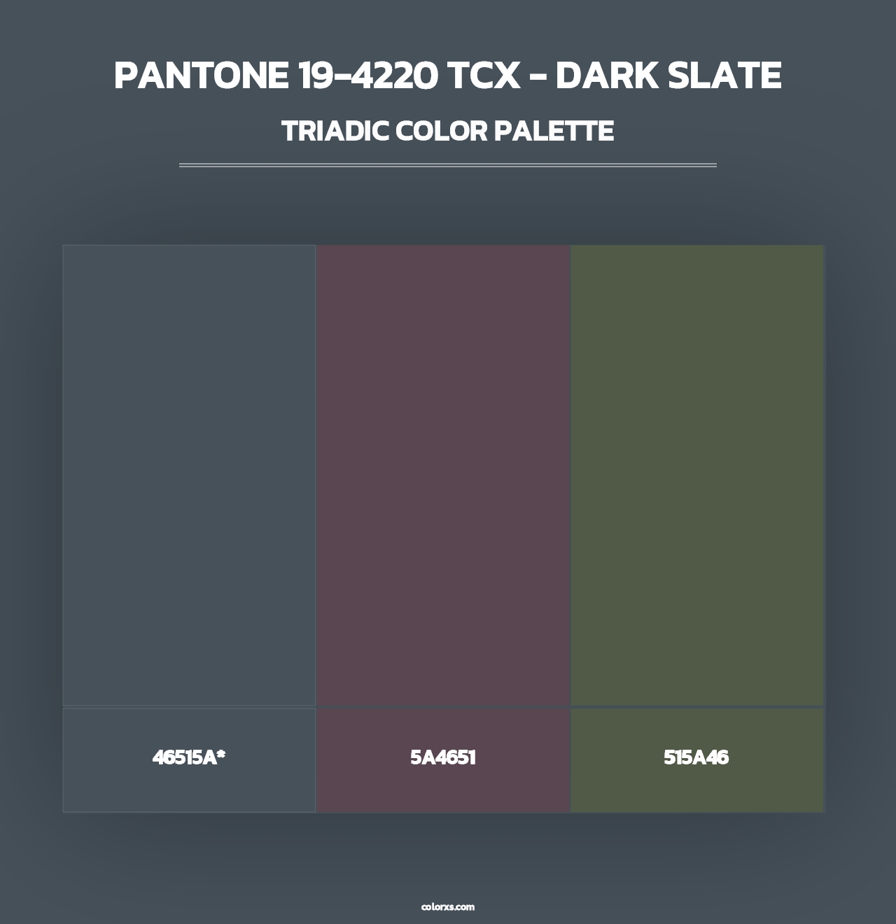 PANTONE 19-4220 TCX - Dark Slate - Triadic Color Palette