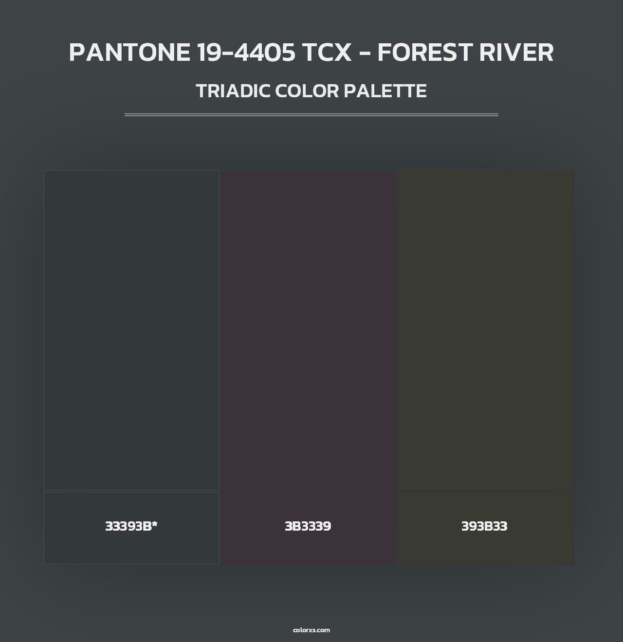 PANTONE 19-4405 TCX - Forest River - Triadic Color Palette
