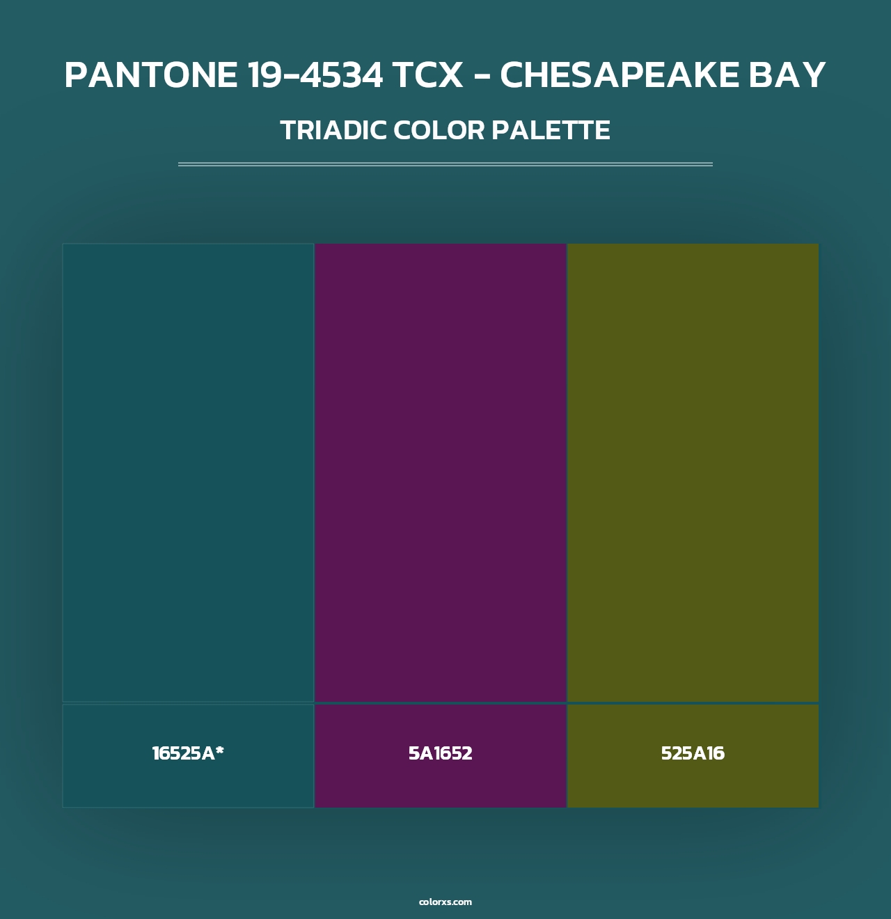 PANTONE 19-4534 TCX - Chesapeake Bay - Triadic Color Palette
