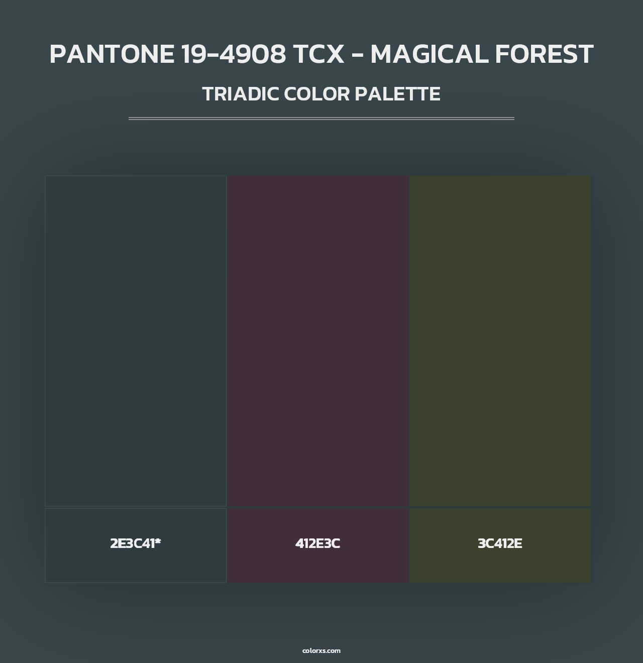 PANTONE 19-4908 TCX - Magical Forest - Triadic Color Palette