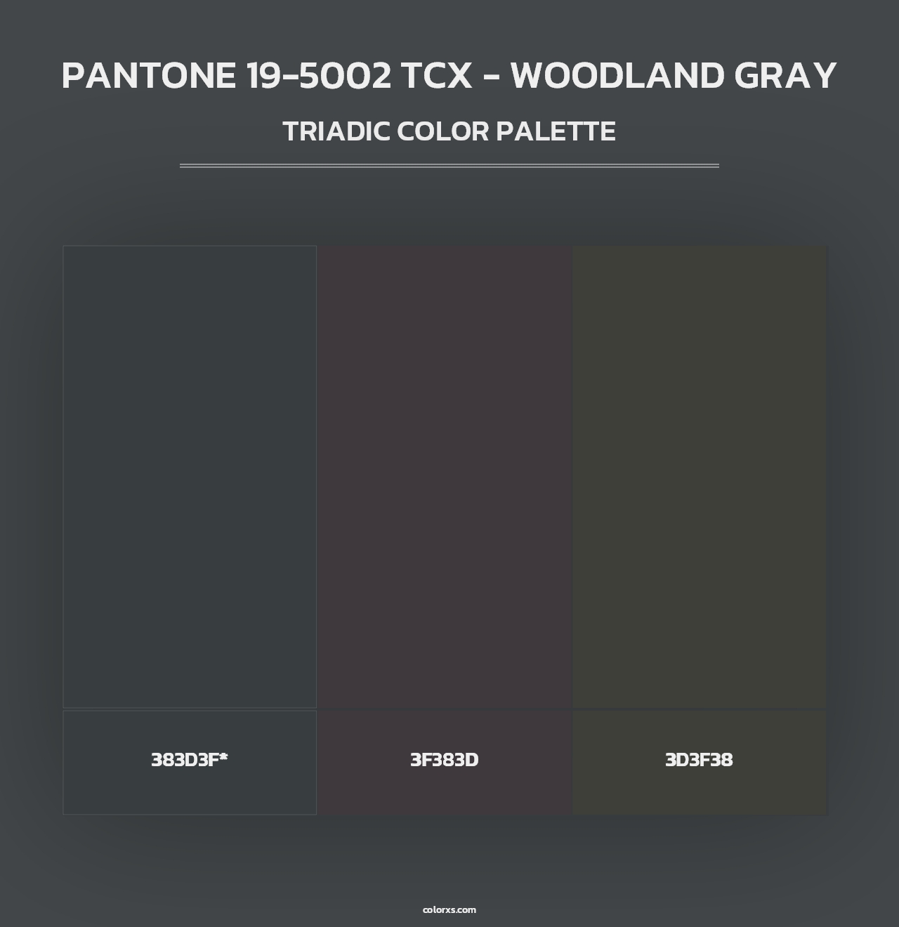 PANTONE 19-5002 TCX - Woodland Gray - Triadic Color Palette