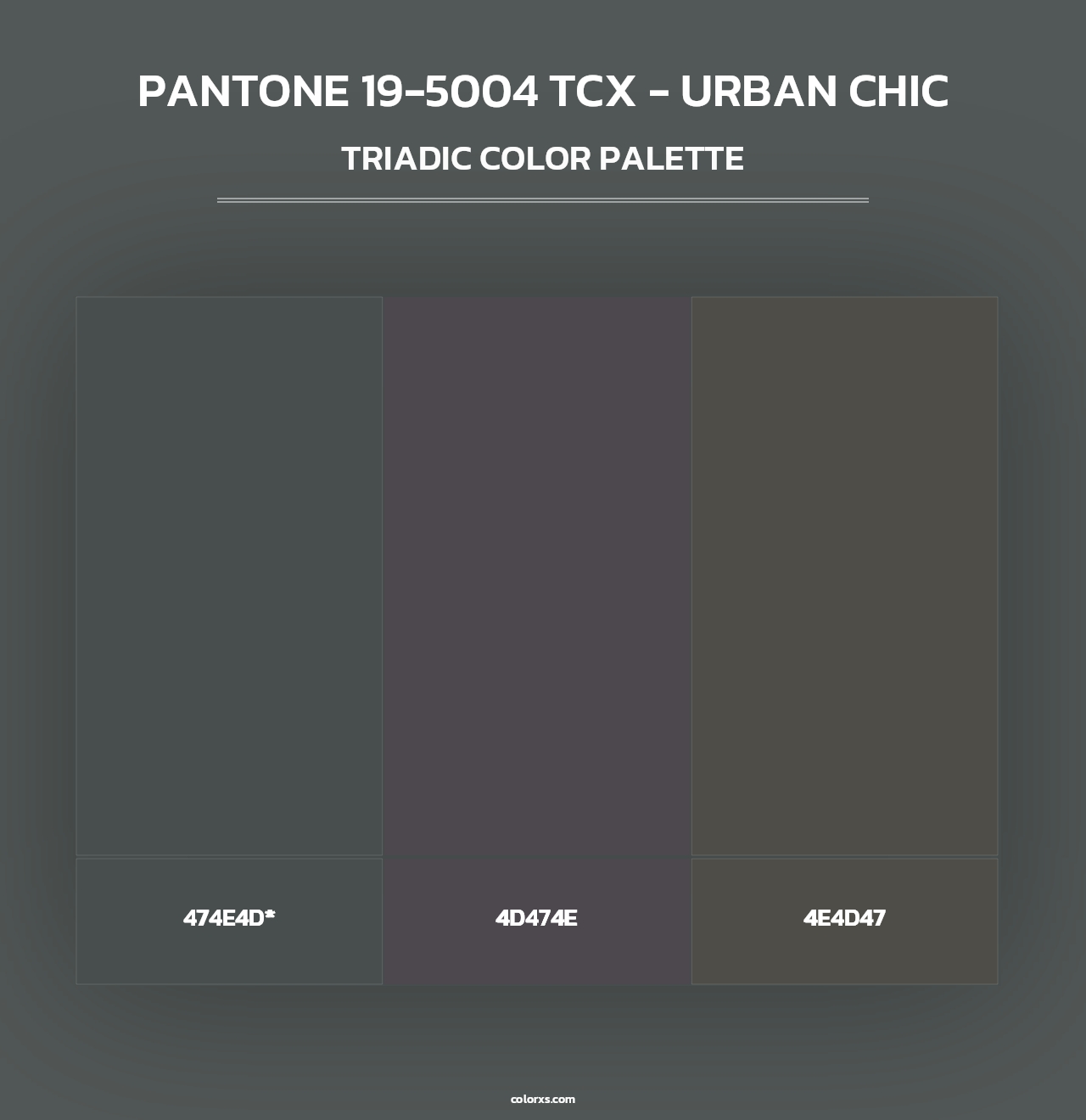PANTONE 19-5004 TCX - Urban Chic - Triadic Color Palette