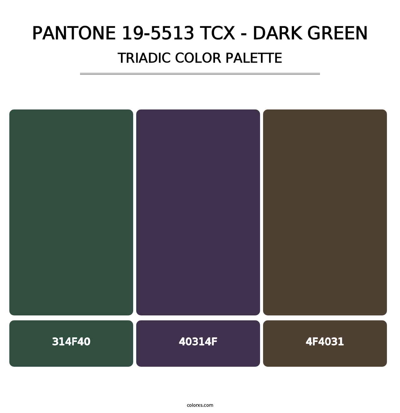 PANTONE 19-5513 TCX - Dark Green - Triadic Color Palette