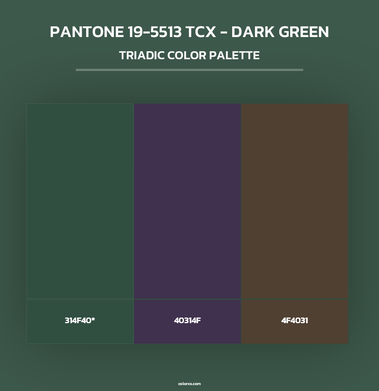 PANTONE 19-5513 TCX - Dark Green - Triadic Color Palette