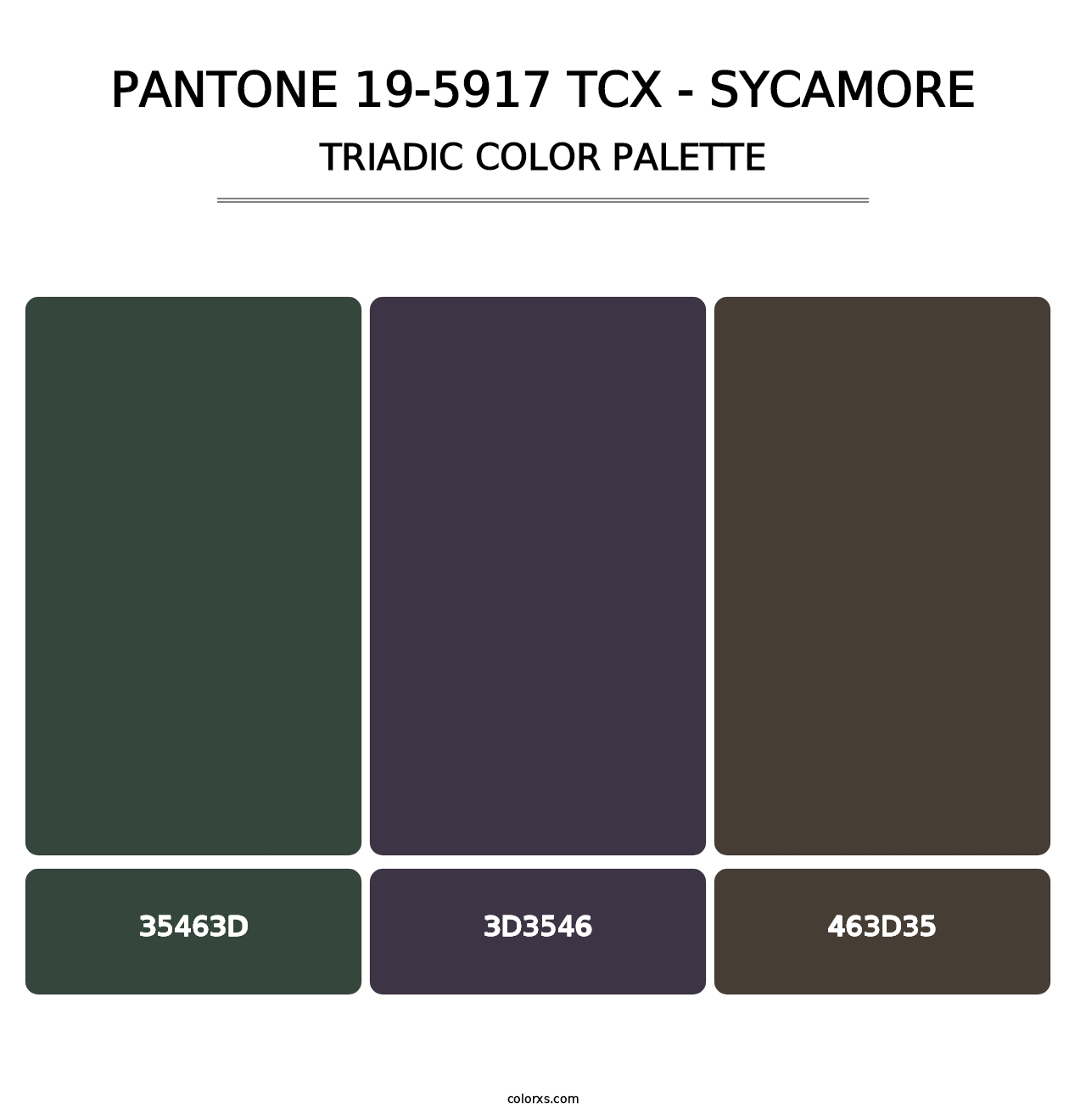 PANTONE 19-5917 TCX - Sycamore - Triadic Color Palette