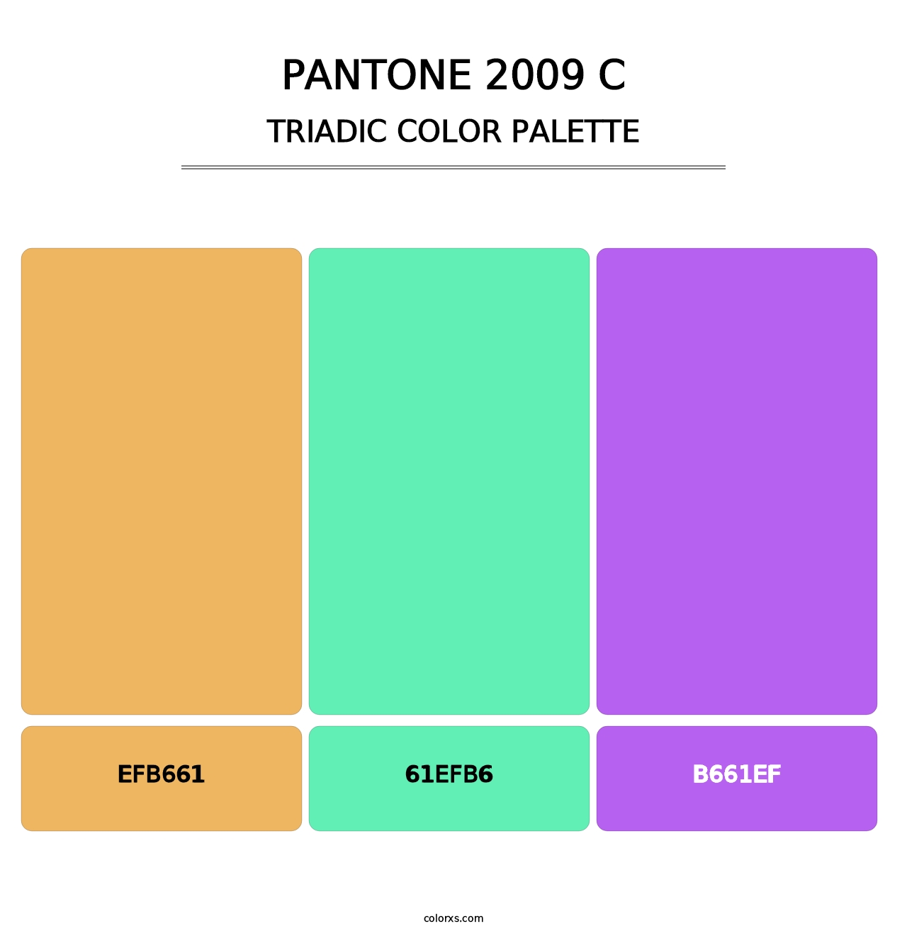 PANTONE 2009 C - Triadic Color Palette