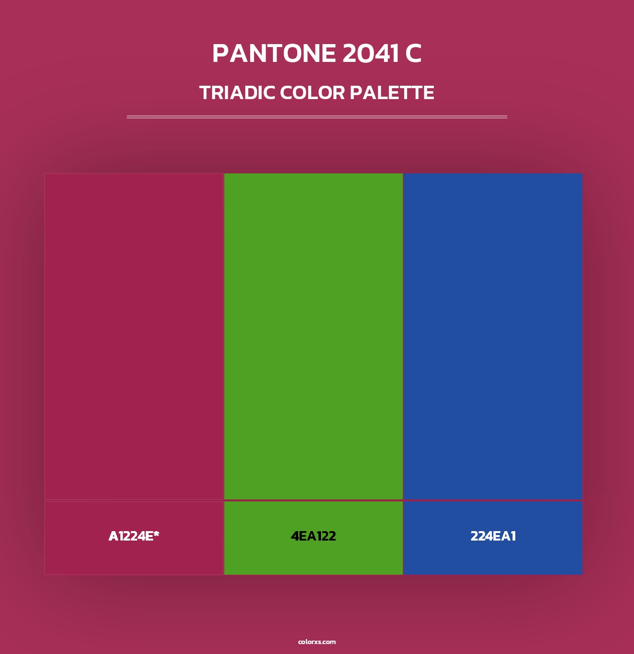 PANTONE 2041 C - Triadic Color Palette