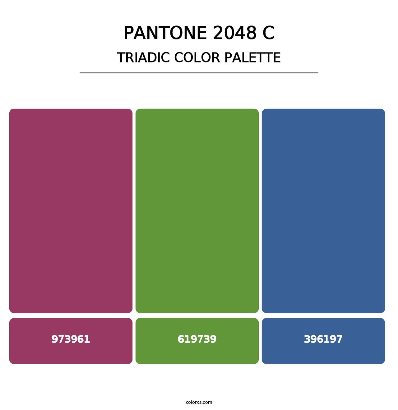PANTONE 2048 C - Triadic Color Palette