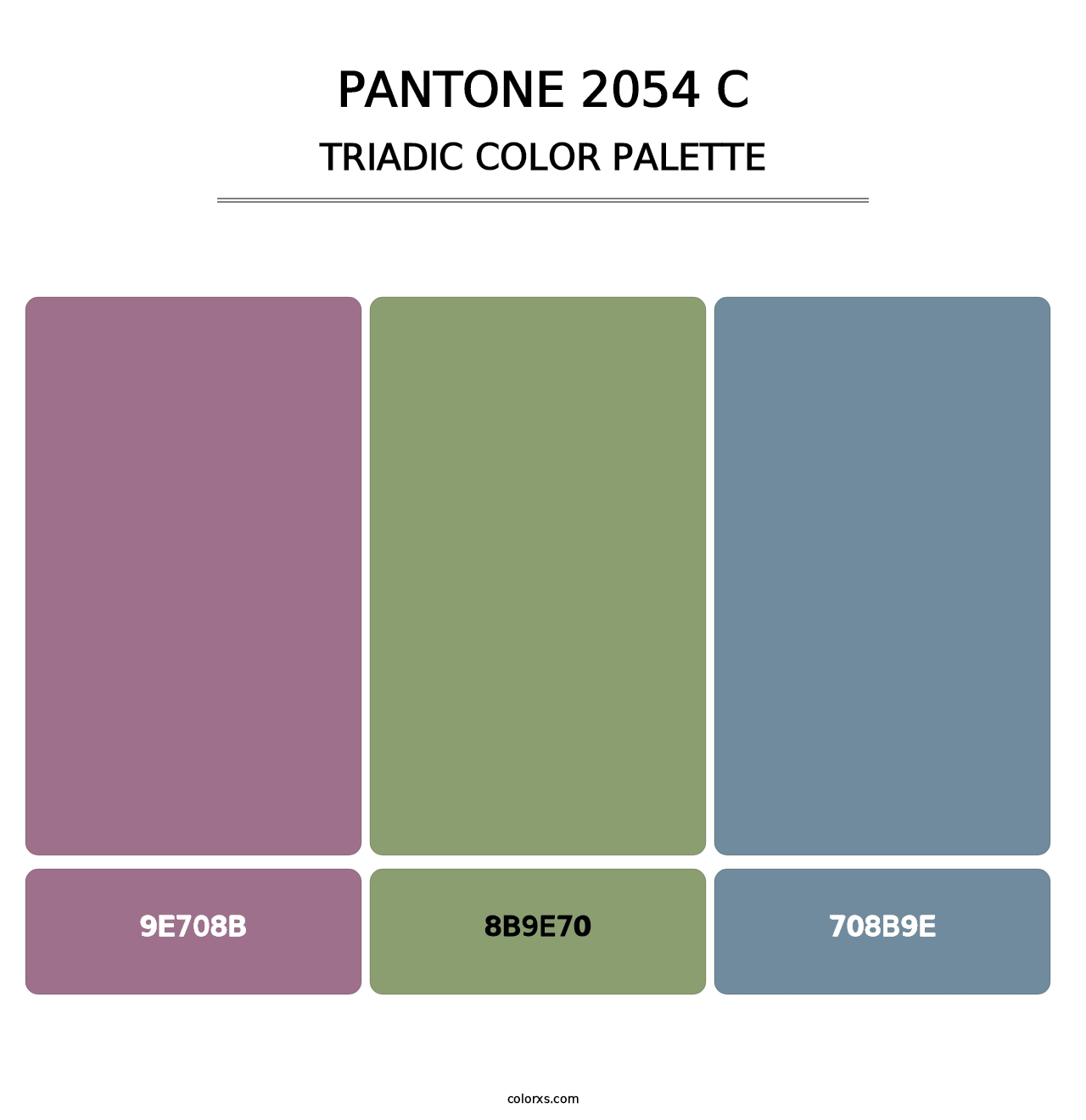 PANTONE 2054 C - Triadic Color Palette