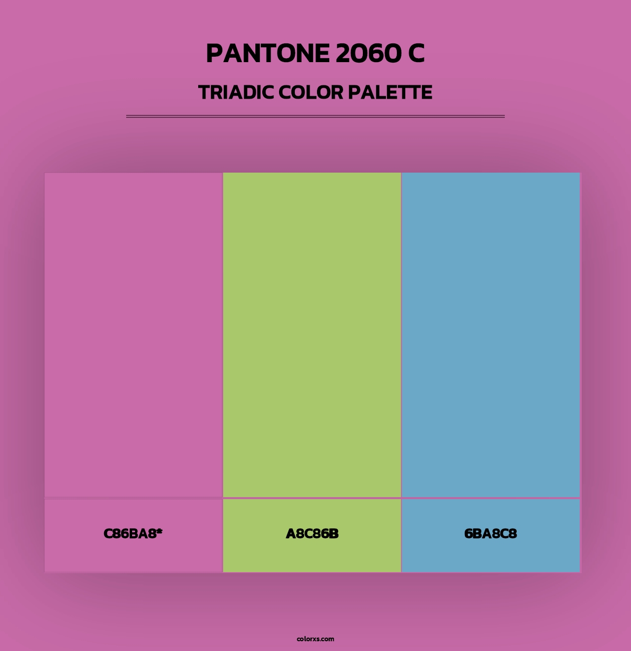 PANTONE 2060 C - Triadic Color Palette