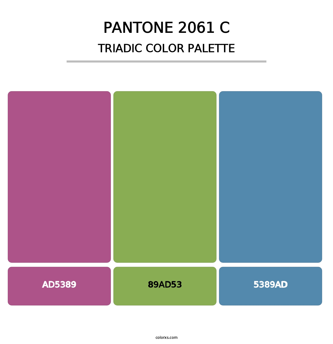 PANTONE 2061 C - Triadic Color Palette