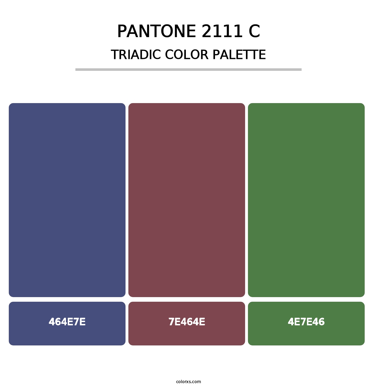 PANTONE 2111 C - Triadic Color Palette