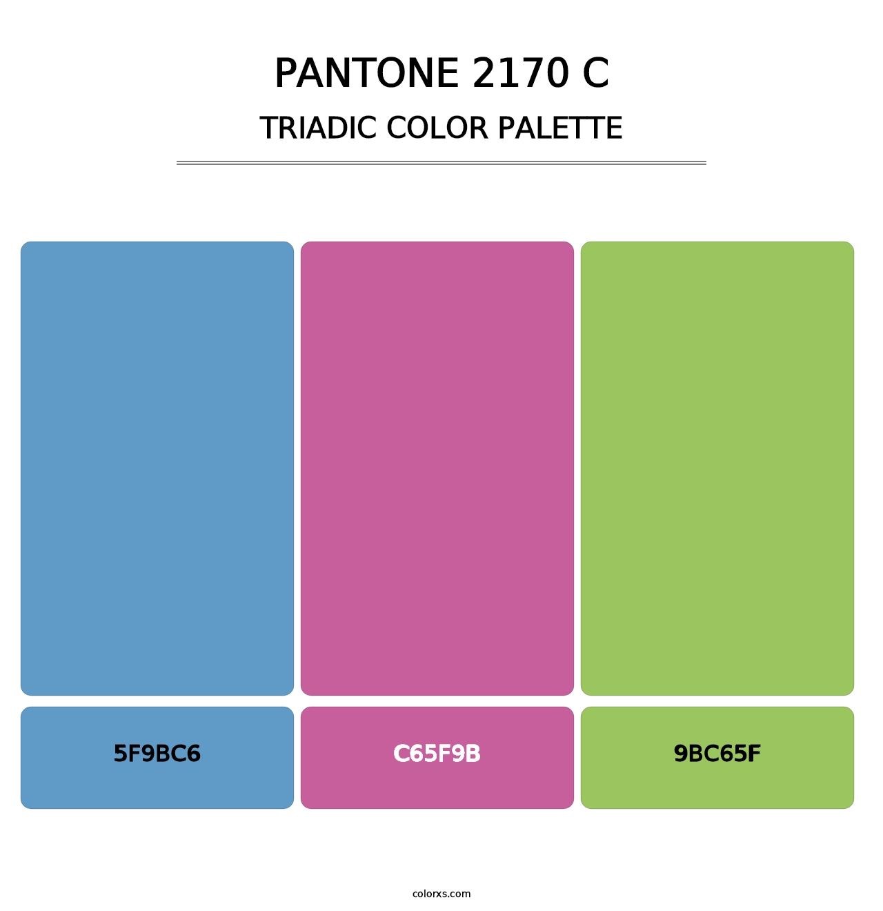 PANTONE 2170 C - Triadic Color Palette