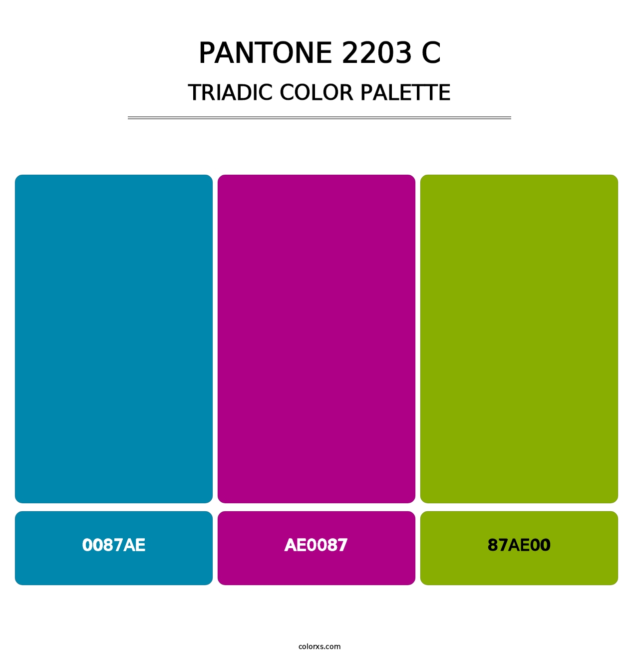 PANTONE 2203 C - Triadic Color Palette
