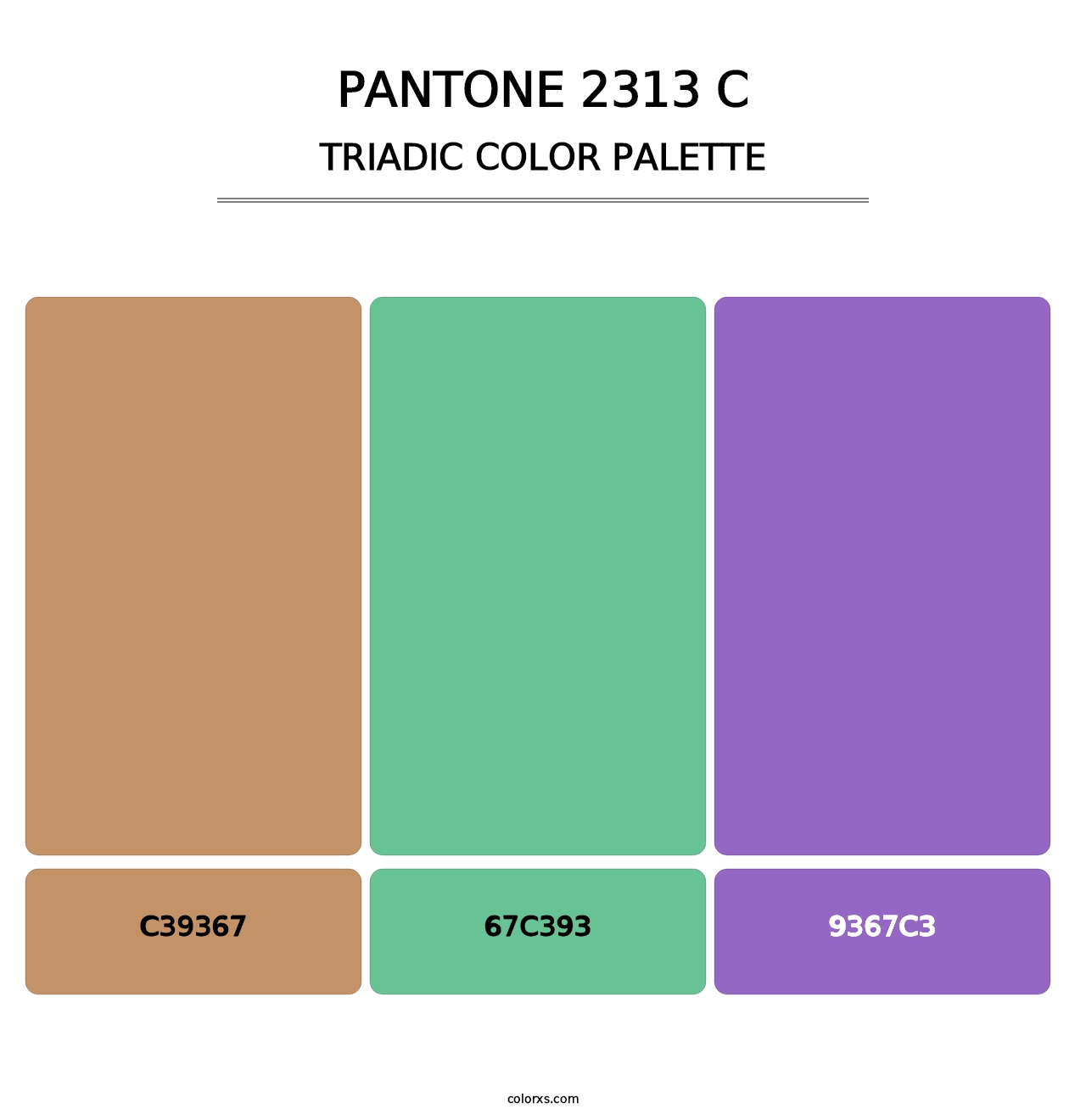 PANTONE 2313 C - Triadic Color Palette