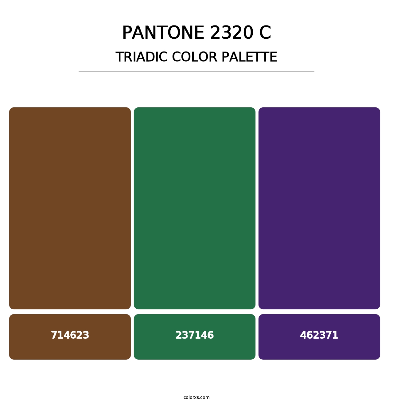 PANTONE 2320 C - Triadic Color Palette