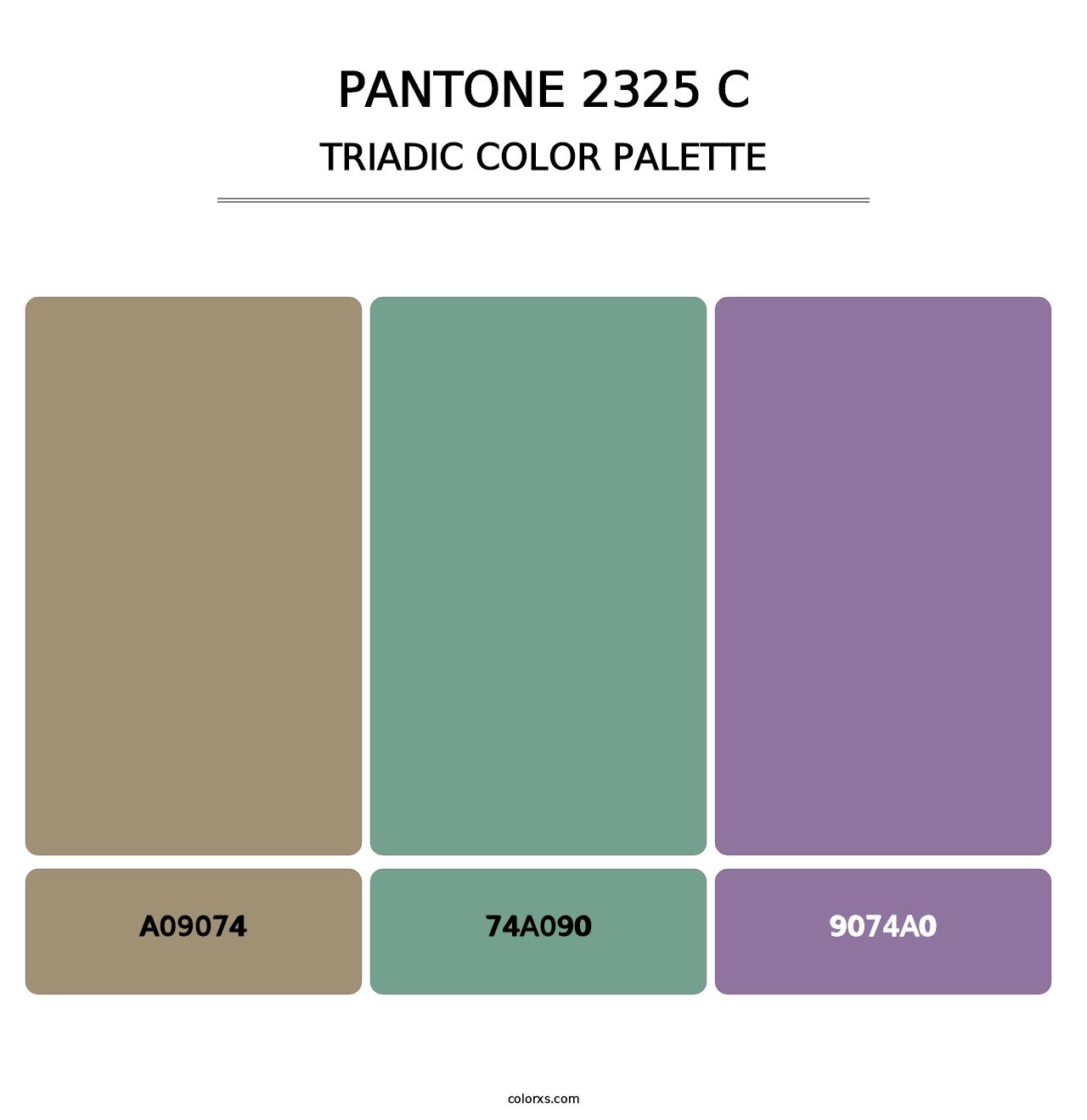 PANTONE 2325 C - Triadic Color Palette